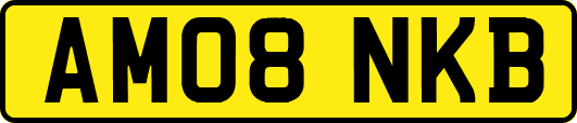 AM08NKB