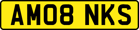 AM08NKS
