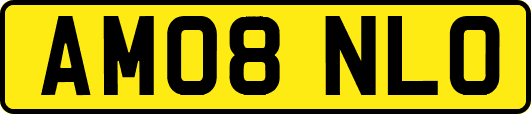 AM08NLO