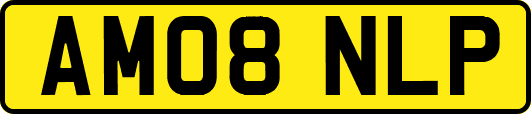 AM08NLP