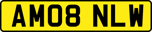 AM08NLW