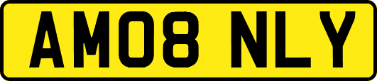 AM08NLY