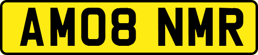 AM08NMR
