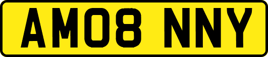 AM08NNY