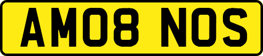 AM08NOS