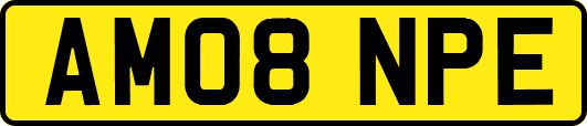 AM08NPE