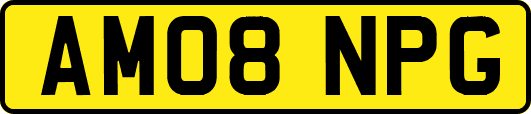 AM08NPG