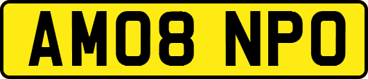 AM08NPO