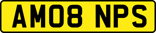 AM08NPS