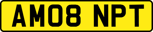 AM08NPT