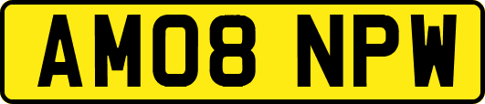 AM08NPW