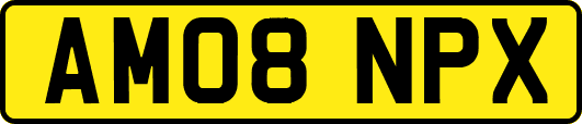 AM08NPX