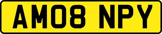 AM08NPY