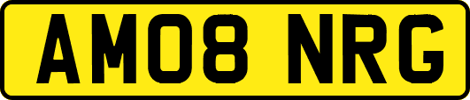 AM08NRG