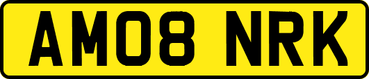 AM08NRK