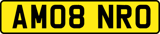 AM08NRO