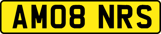 AM08NRS