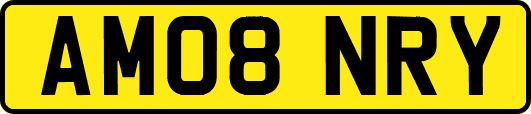 AM08NRY