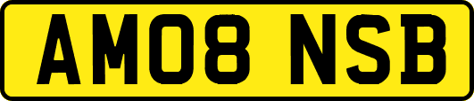 AM08NSB