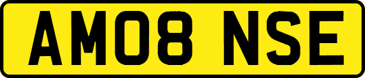 AM08NSE