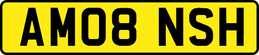 AM08NSH