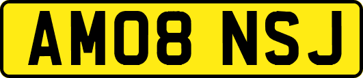 AM08NSJ