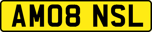 AM08NSL