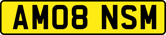 AM08NSM