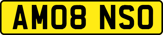 AM08NSO