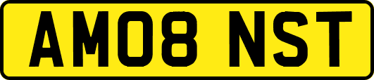 AM08NST