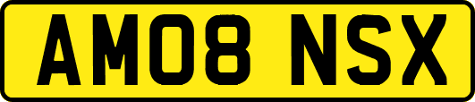 AM08NSX