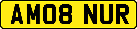 AM08NUR