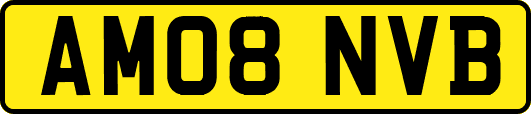 AM08NVB
