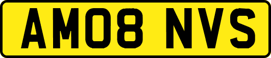 AM08NVS