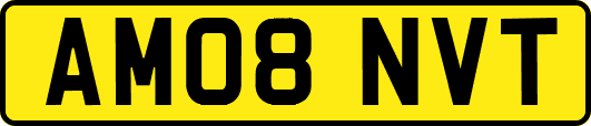 AM08NVT