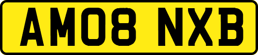 AM08NXB