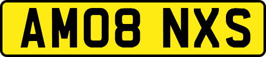 AM08NXS