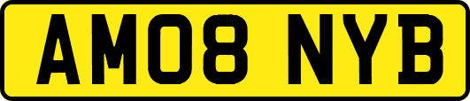 AM08NYB
