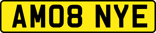 AM08NYE