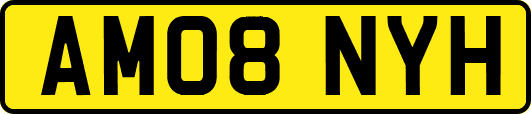 AM08NYH