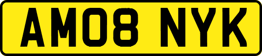 AM08NYK