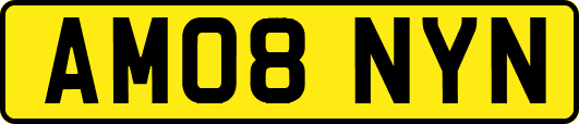 AM08NYN