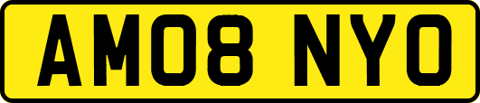 AM08NYO