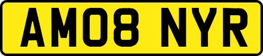 AM08NYR
