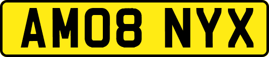 AM08NYX