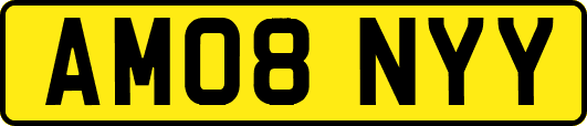 AM08NYY