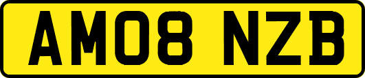 AM08NZB