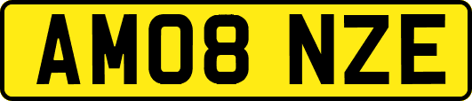 AM08NZE