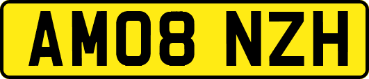 AM08NZH