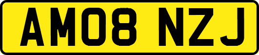 AM08NZJ